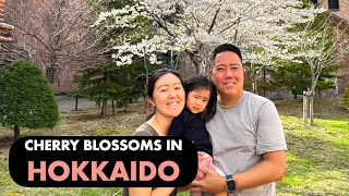 Springtime in HOKKAIDO, Japan Travel With Kids!