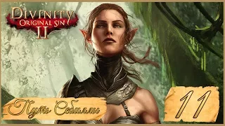 Divinity: Original Sin II ★ 11: Месть за кота.