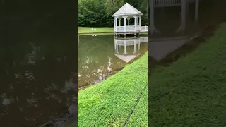 Aerator In Huge Pond Before and After