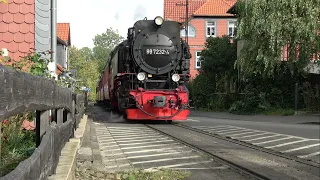 Die Harzquerbahn im Herbst 2023 / Teil 1 / von Wernigerode nach Drei Annen Hohne