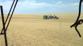 Wheat Harvest