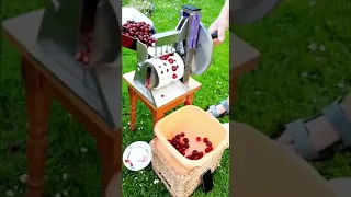 Cherry pitting machine