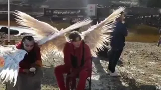 Dimash behind the scenes Love of tired swans