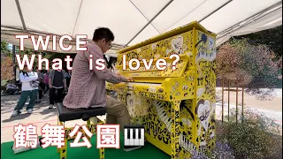 鶴舞公園/ラブピアノ/TWICE/What is love?/ストリートピアノ