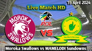 Moroka Swallows Vs Mamelodi Sundowns Live Match 2024 HD En Vivo PSL Africa