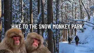 Winter Snow Hike Up to Jigokudani Snow Monkey Park - Nagano, Japan 2023 | ASMR [4k] #地獄谷野猿公苑