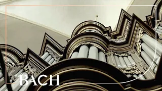 Bach - Concerto in C major BWV 595 - Te Lindert | Netherlands Bach Society