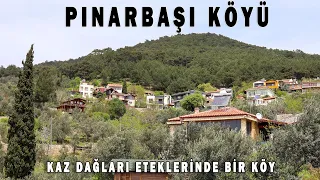 Edremit Pınarbaşı Village (A village with Kaz Mountains and Aegean Sea view)