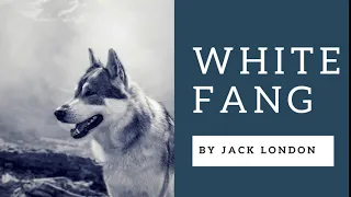 White Fang By Jack London - Complete Audiobook