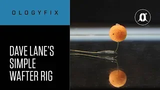 CARPologyTV - How to tie Dave Lane's Simple Wafter Rig