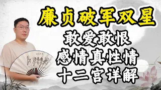 紫微斗数廉贞破军双星，敢爱敢恨感情真性情，入夫妻等十二宫详解