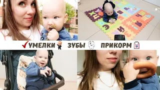 Владу 6 месяцев🎉Новая коляска CARRELLO Bravo👶Что умеет малыш? Зубы, прикорм, развитие