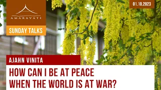 How Can I Be at Peace When the World Is at War | Ajahn Vinita | 01.10.2023