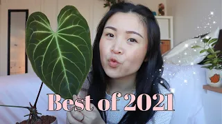 Top 10 Best Plants of 2021 | Hoya, Philodendron, Orchids, Cacti and More