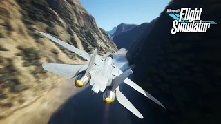 F14 Tomcat - Grand Canyon: Flight Simulator 2020