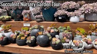 Succulent Nursery Garden Tour