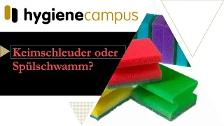 Keimschleuder oder Spülschwamm?