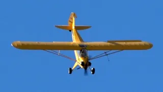 2023 Leesburg Airshow - RJ Gritter's Cub Act