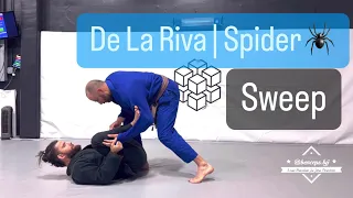 De La Riva | Spider 🕷️Sweep Variation 🎥 (brazilian jiu jitsu)