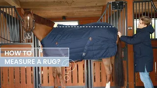 HOW TO MEASURE A HORSE RUG  | Kentucky Horsewear