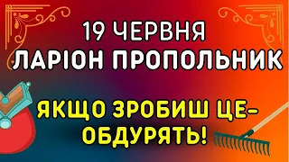 Не вскочи у халепу! 19 червня: яке свято, традиції, народні прикмети, іменини. Ларіон Пропольник