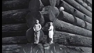 The history of the largest log house of giant trees.