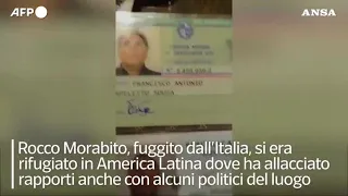 Arrestato il boss della 'Ndrangheta Rocco Morabito