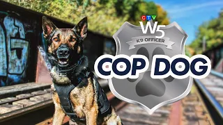 W5: Sniffing out crime with a special police dog