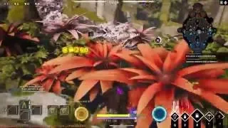 Paragon - СТРИМ =))