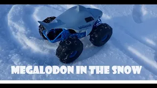 Testing Megalodon in the Snow