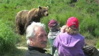 McNeil River BEARS! - July 2009