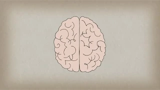 Как игра на музыкальном инструменте влияет мозг