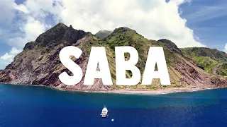 SABA 🐢 Untouched Turtle Paradise