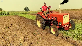 Не дискую,а орю цілину! 40-ка річний Т25 старався🚜🚜🚜🇺🇦🇺🇦🇺🇦