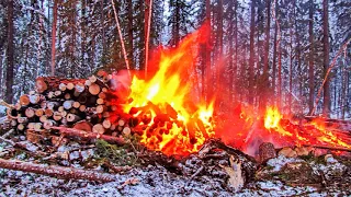 Уничтожение лесов в Иркутской области !