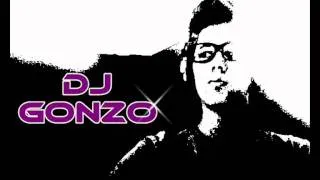 DJ GONZO (Party Rock Anthem rmx).wmv