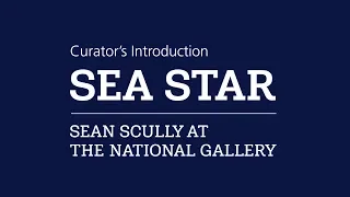 Curator's introduction | Sea Star: Sean Scully at the National Gallery