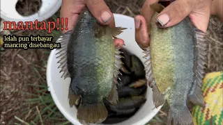 MANCING PAPUYU MONSTER DI SEBANGAU | PERJALAN YANG MELELAHKAN TERBAYAR #15