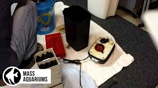 How to clean a canister filter: Fluval 406