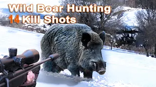 Wild Boar Hunting Shots Compilation // Compilation de tir au Sanglier// 2022