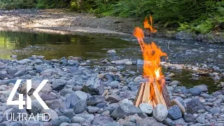 8 HRS Relaxing River Sounds with Crackling Campfire and Birds Singing - Part #3