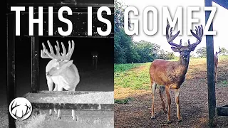 New Target Buck, THIS IS GOMEZ // Lee and Tiffany Lakosky