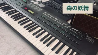 DX7sで色々弾いてみた②「森の妖精」「朝つゆ」「ムーンストーン」「蝶々のように」