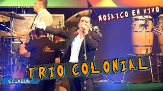 Mix Bailable Trio Colonial | Festival Del Pasacalle | EN VIVO  | FIESTAS DE QUITO