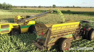 2020 Central Wisconsin Sweet Corn Harvest