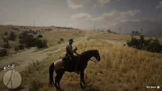 Red Dead Redemption 2 | Giant Eagle Catches a Goat | PS4