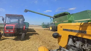 🚜Zaczynamy Żniwa 2023!🌾Jęczmień  pod kose🌾2x Ursus C360🔥 JohnDeere || MałyRolnik