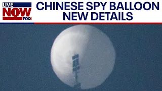 Chinese spy balloon was capable of collecting intelligence signals, experts say | LiveNOW from FOX