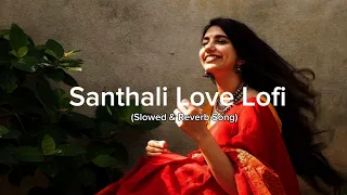 New Santhali Lofi | 2024 Mashup Song | Mind Relaxing Remix Song | Slowed Reverb Song | Santh Beatz