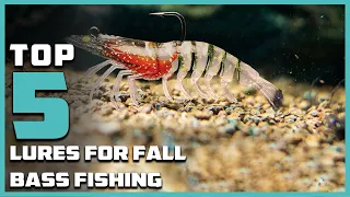 Top 5 Fall Bass Fishing Lures for Big Catches [2024]